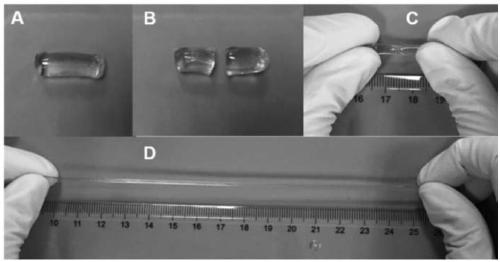 High-toughness self-repairing physical hydrogel based on dual ion coordination and preparation method thereof