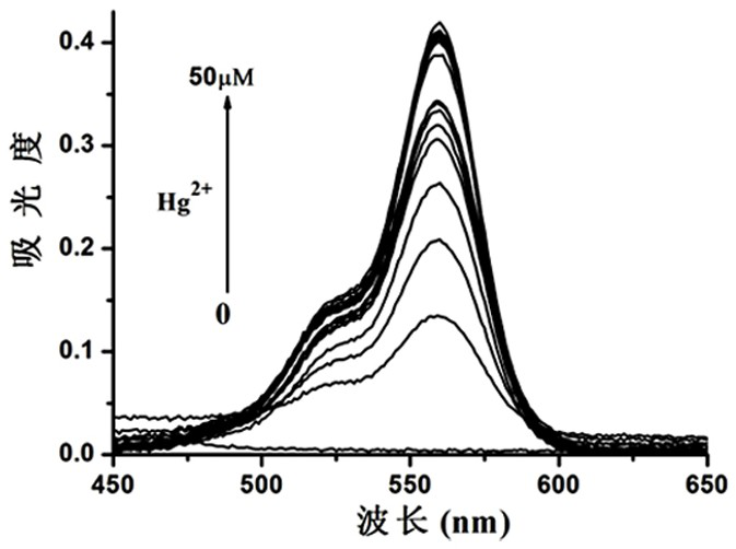 Mercury ion fluorescent probe based on rhodamine b and its preparation method and application