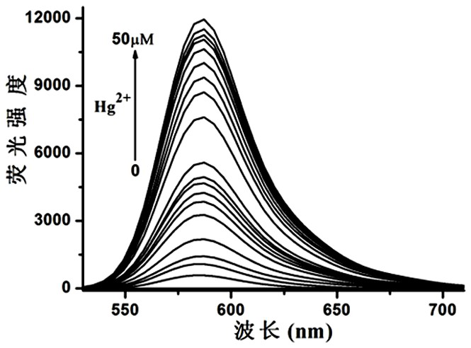Mercury ion fluorescent probe based on rhodamine b and its preparation method and application