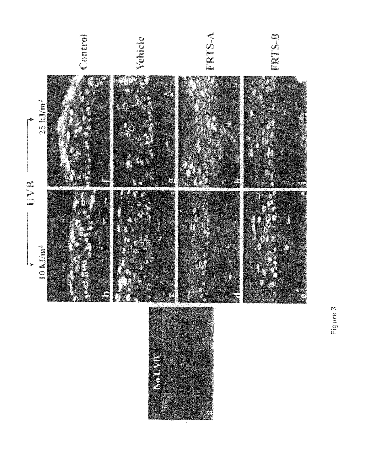 Use of a photosynthetic cell extract comprising functional thylakoids in cosmetic compositions