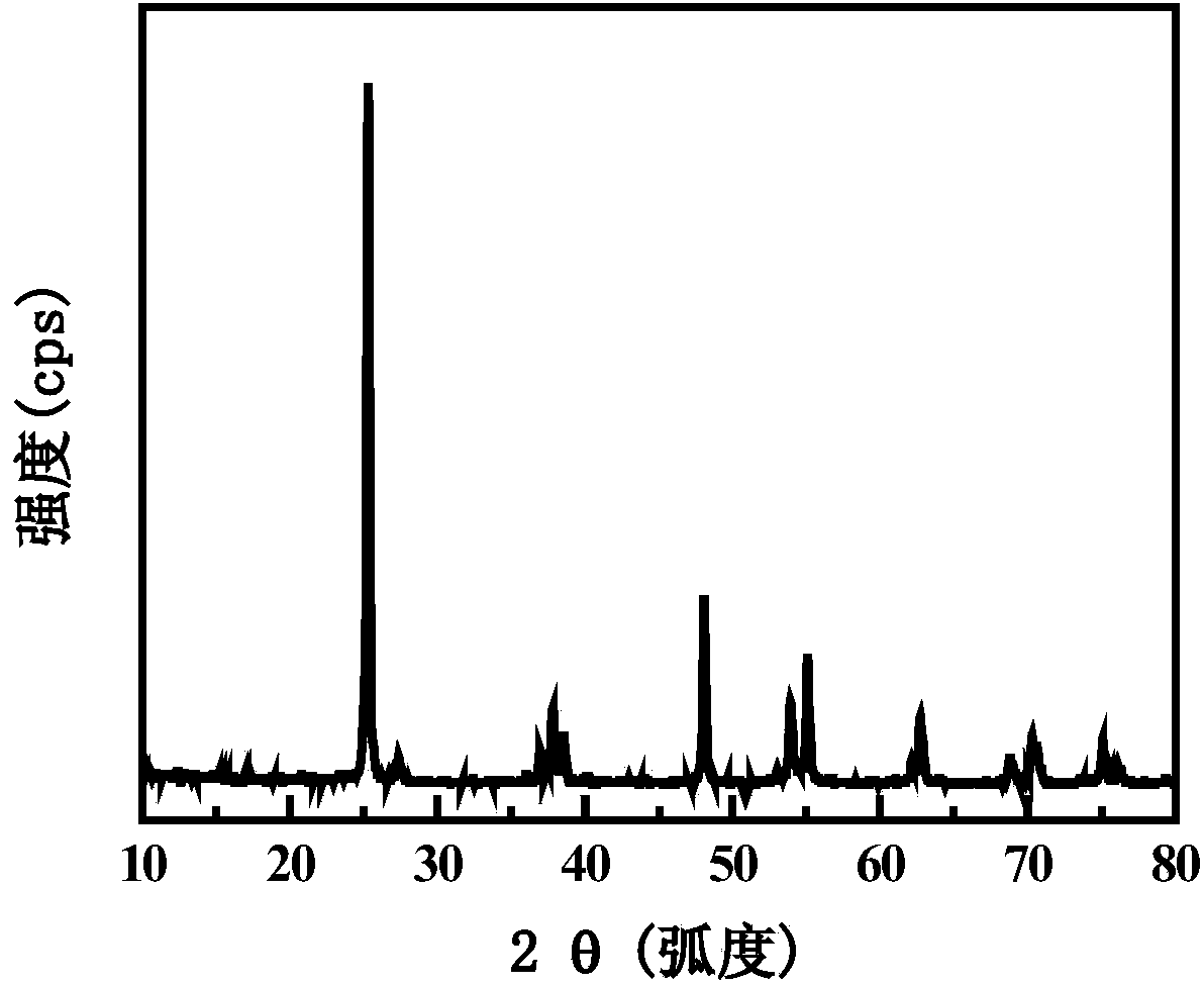 Nitrogen-doped carbon polymer/TiO2 photoelectrode, as well as preparation method and application thereof