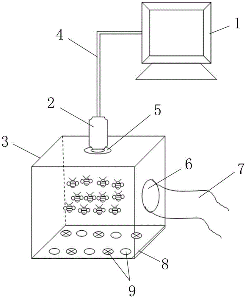 Screening system and method of fly repellent