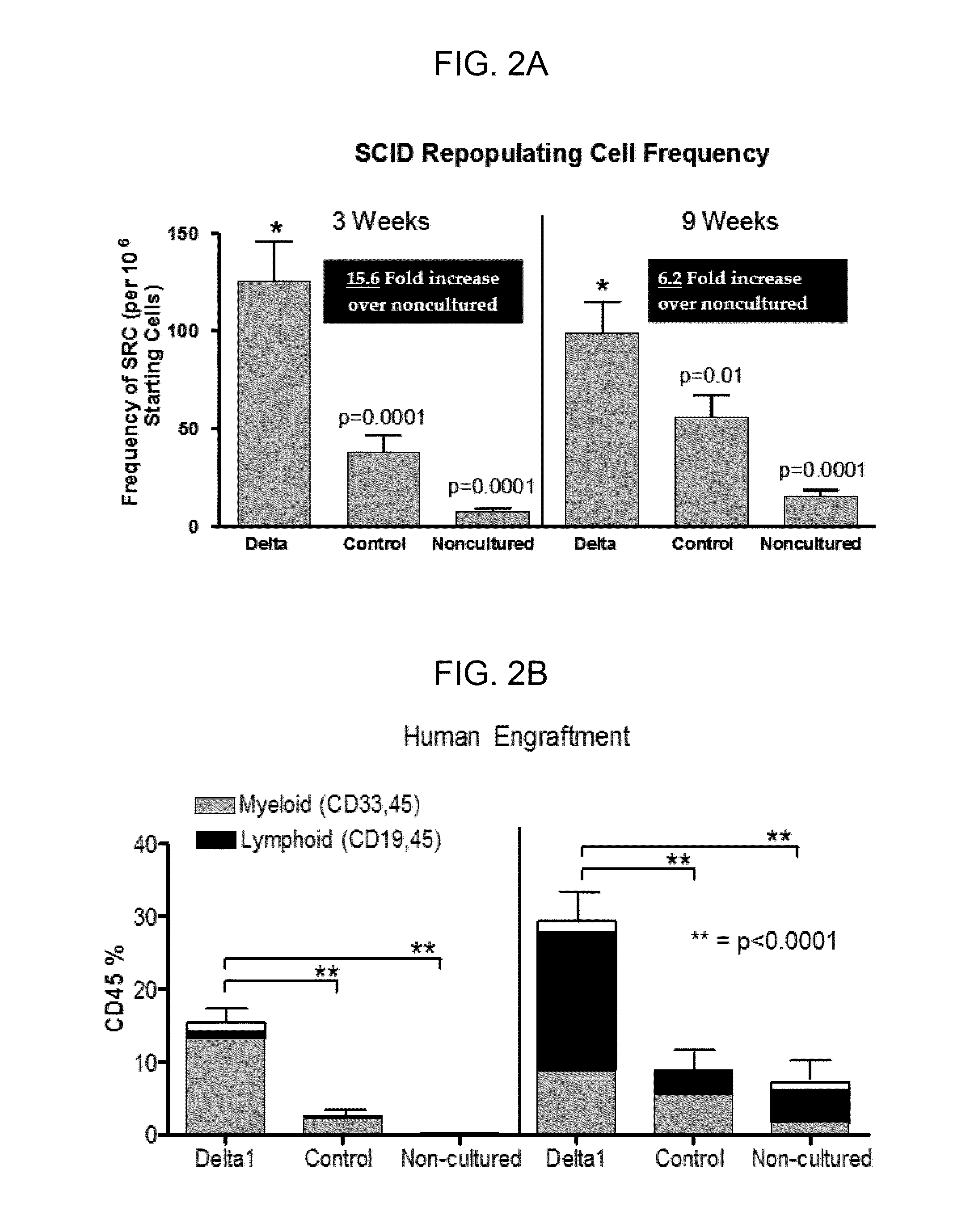 Compositions and methods for providing hematopoietic function