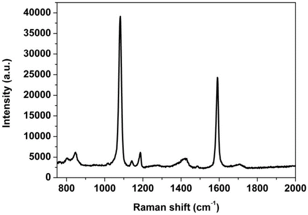 Nanometer material for SERS (Surface-Enhanced Raman Scattering) detection and preparing method of nanometer material