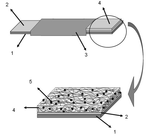 ZnO/enzyme biosensor and preparation method