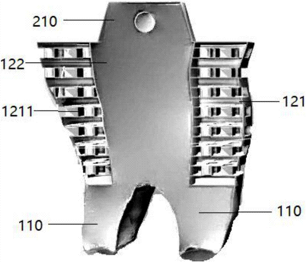 3D printing method of individualized porous-layer multi-tooth root implant