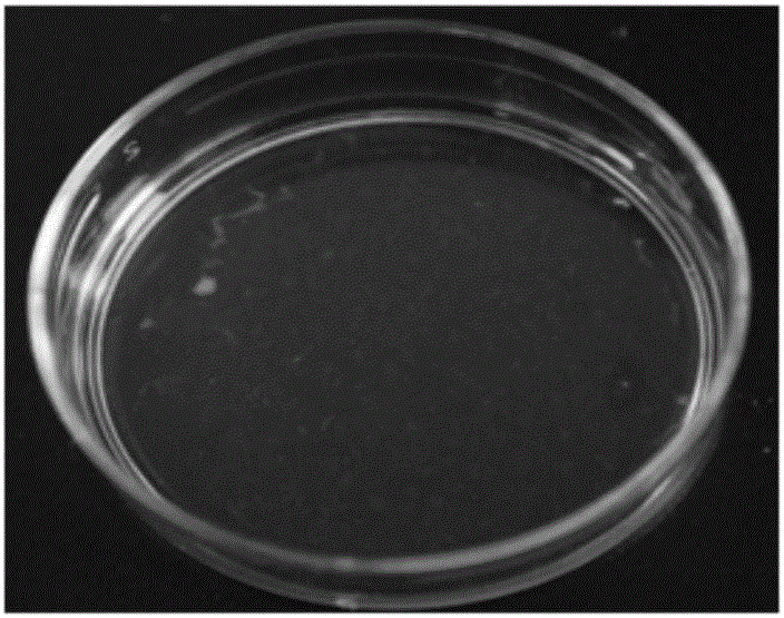 Cell culture medium for preparing human skin flbroblast sheet and using method of cell culture medium