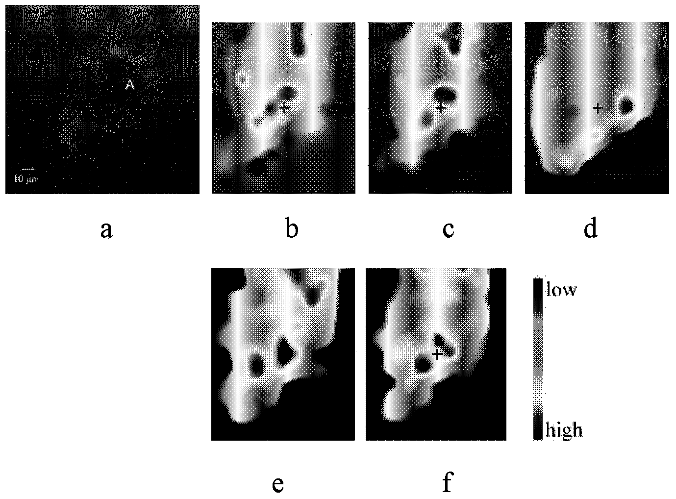 Visual in-situ analysis method of nitrocompound in soil