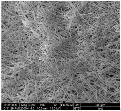 Method for preparing nanometer cellulose fiber through combining ultrasound and high-pressure homogenization treatment