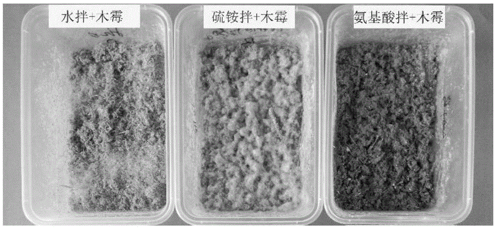 Method for preparing trichoderma solid spawn through trichoderma direct fermentation crop straw and prepared product