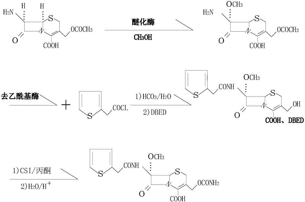 Synthesis method of antibacterial agent cefoxitin acid