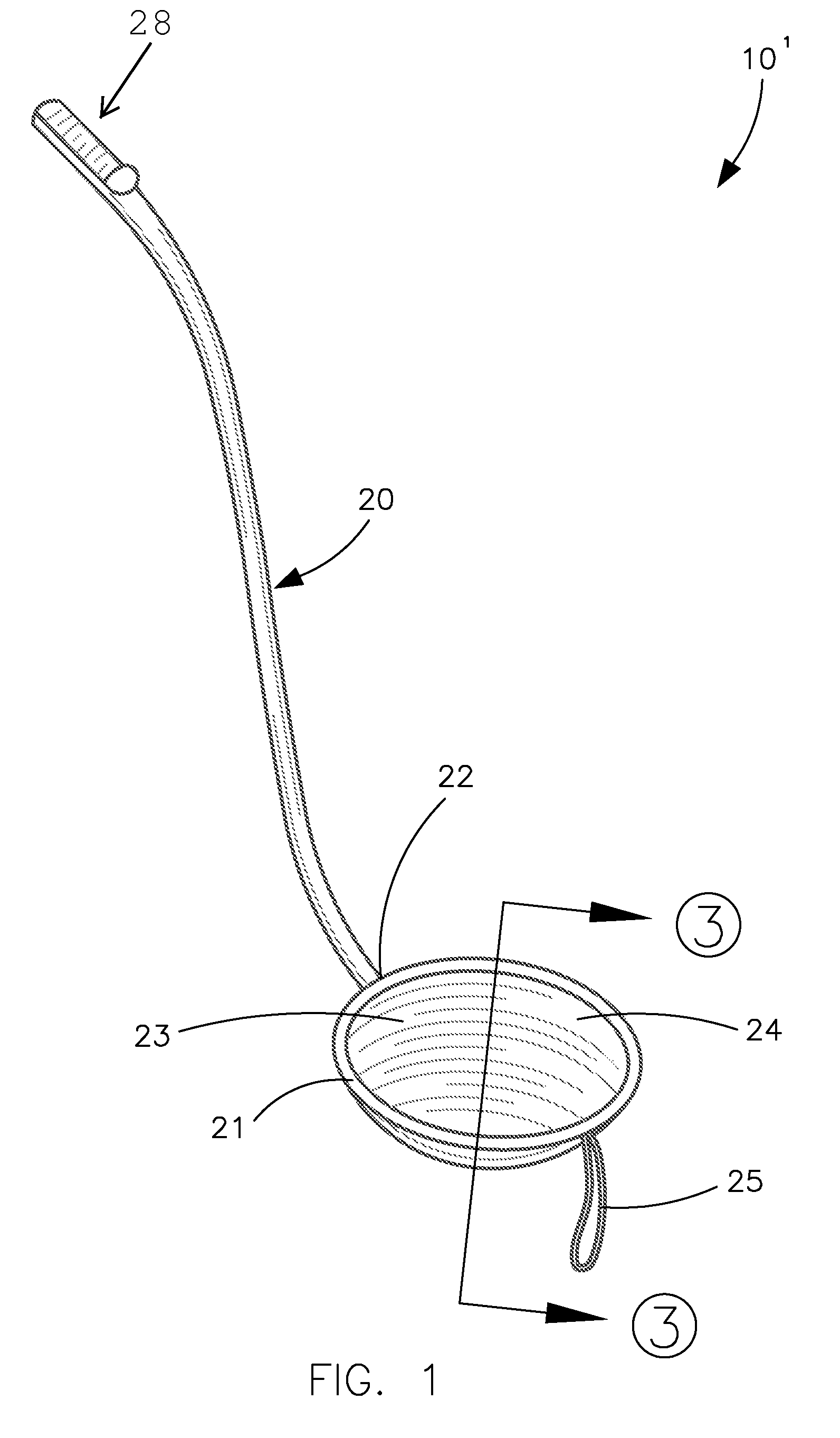 Sanitary collection apparatus for pet feces and associated method