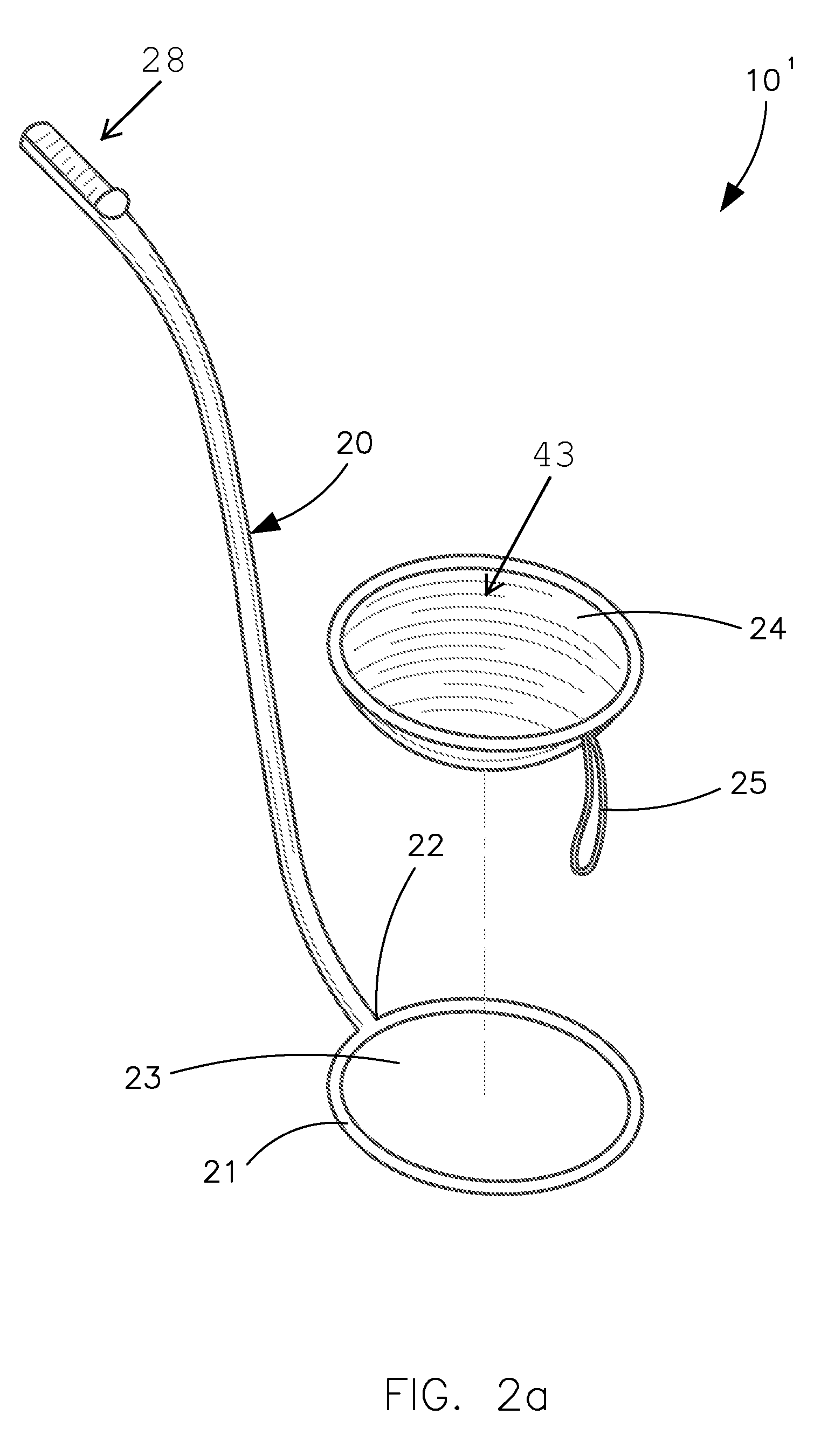 Sanitary collection apparatus for pet feces and associated method