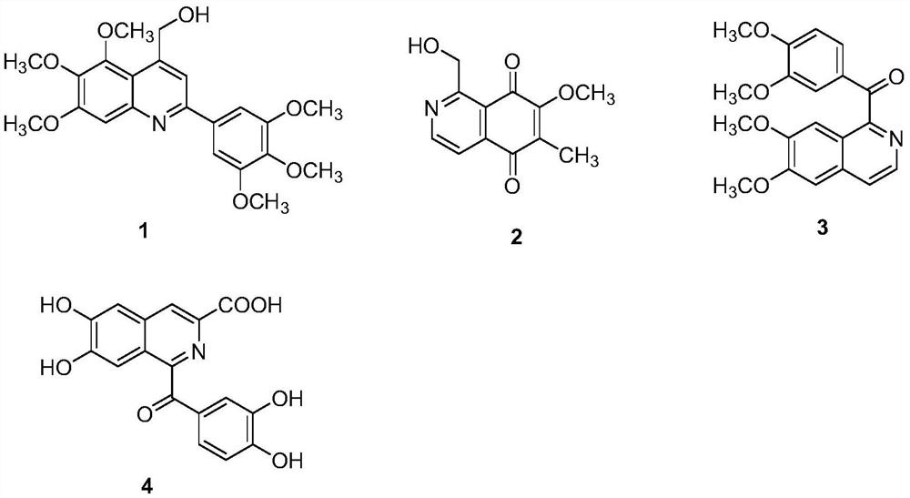 A kind of preparation method of formylated heterocyclic derivative