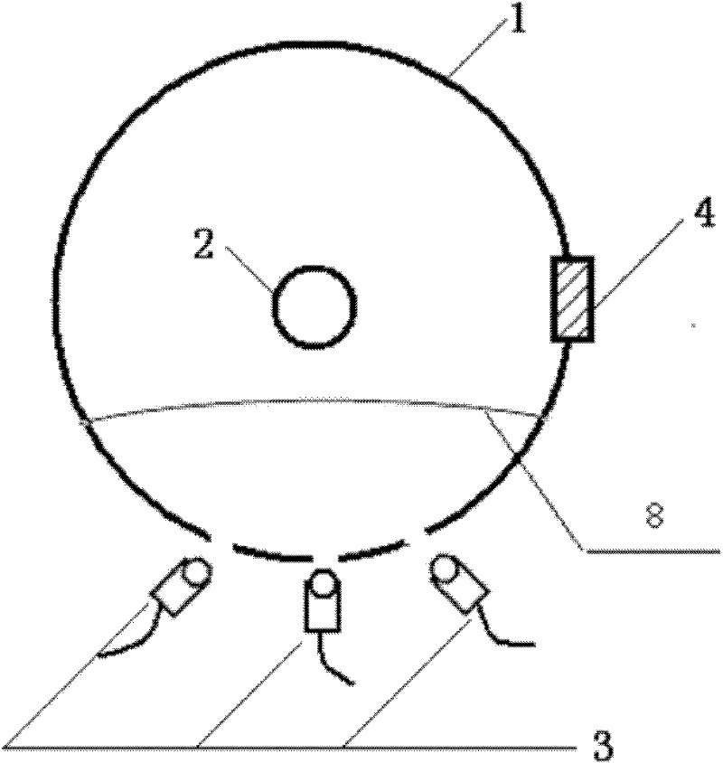 Device for detecting quality of Silybum marianum seed and detecting method thereof