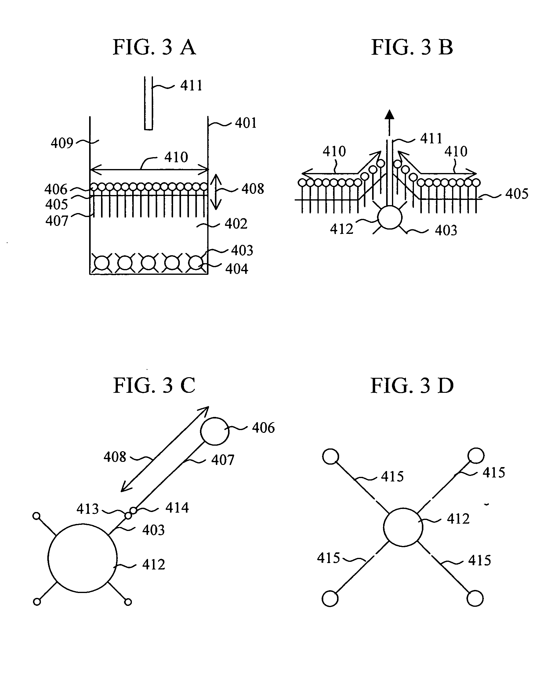 Beads with immobilized amphiphilic molecules, method of fabrication thereof, and method of arraying beads for capillary beads-array