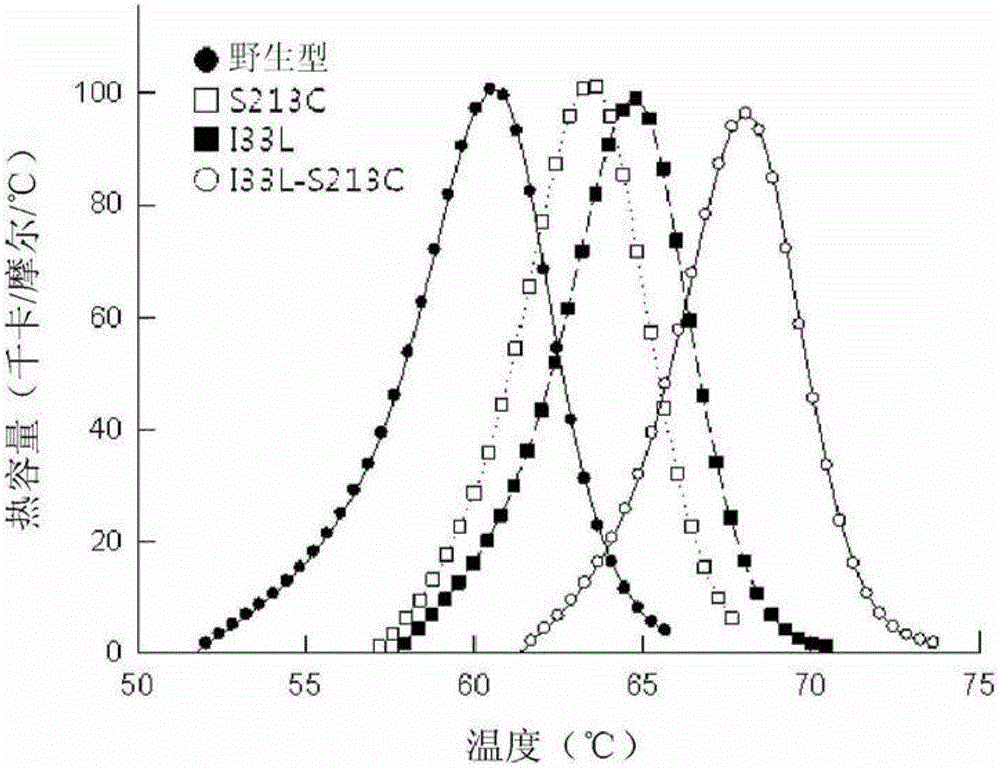 D-psicose 3-epimerase mutant with improved thermal stability, and continuous production of d-psicose using same