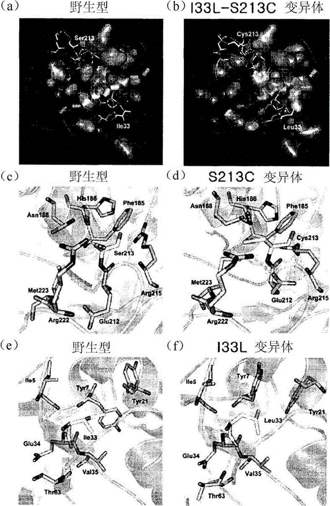 D-psicose 3-epimerase mutant with improved thermal stability, and continuous production of d-psicose using same