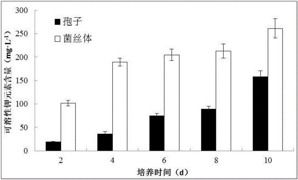 Aspergillus niger JXJ A01 with potassium and phosphate dissolving and organophosphorus pesticide decomposing activity and application thereof