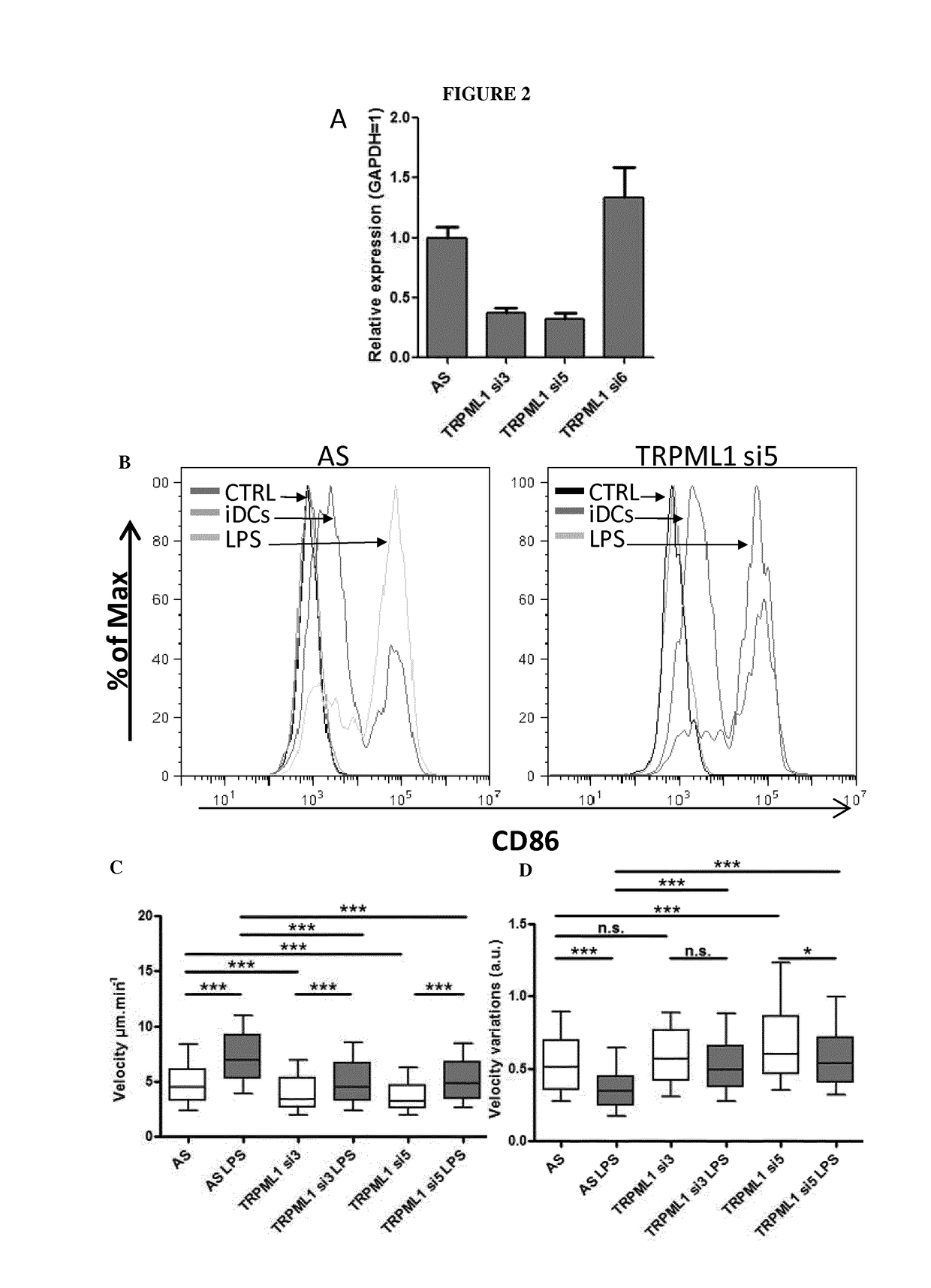 Use of Mcoln-1 modulators to regulate cell migration