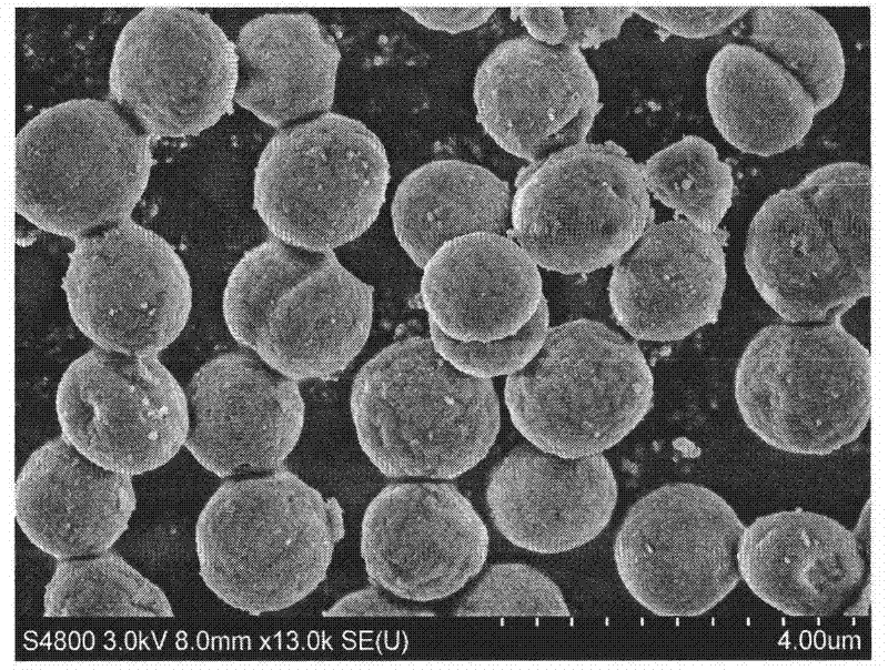 Method for preparing monodisperse silicon dioxide sphere by using blue algae as template