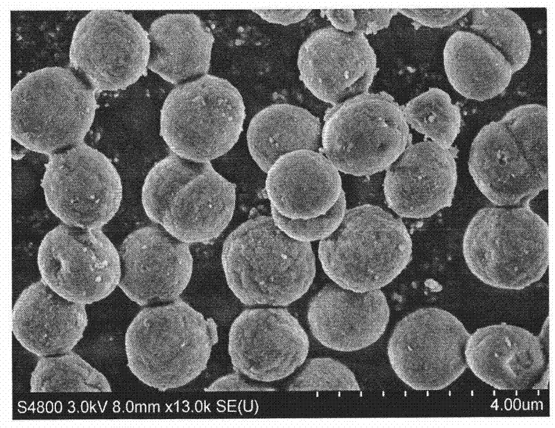 Method for preparing monodisperse silicon dioxide sphere by using blue algae as template