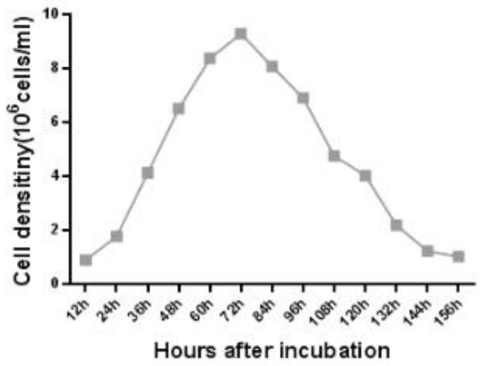 A kind of method that utilizes suspension cell line to prepare Seneca virus