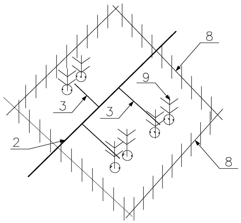 Desertification region railway sandstorm plane micro-seepage drip irrigation system and construction method thereof