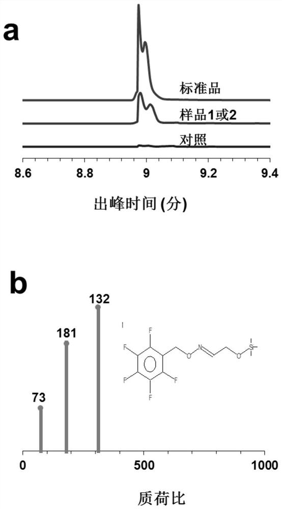 Method for generating target product from glycollic acid under action of enzyme