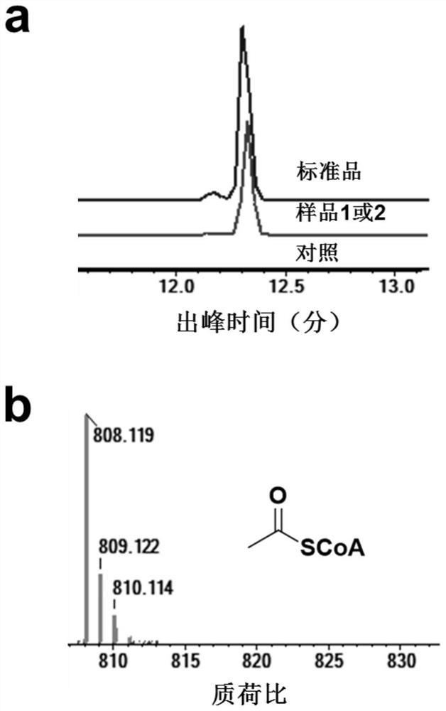 Method for generating target product from glycollic acid under action of enzyme