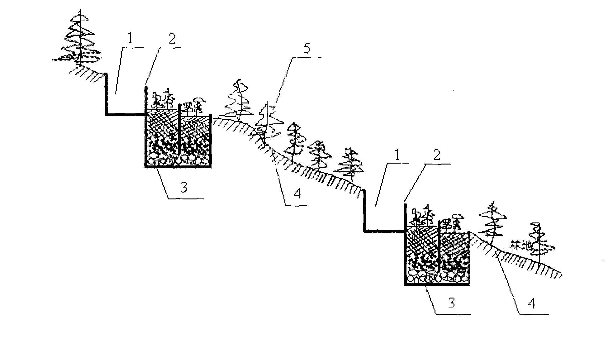 Terrace type composite vertical flow forest wetland and domestic sewage treatment method thereof