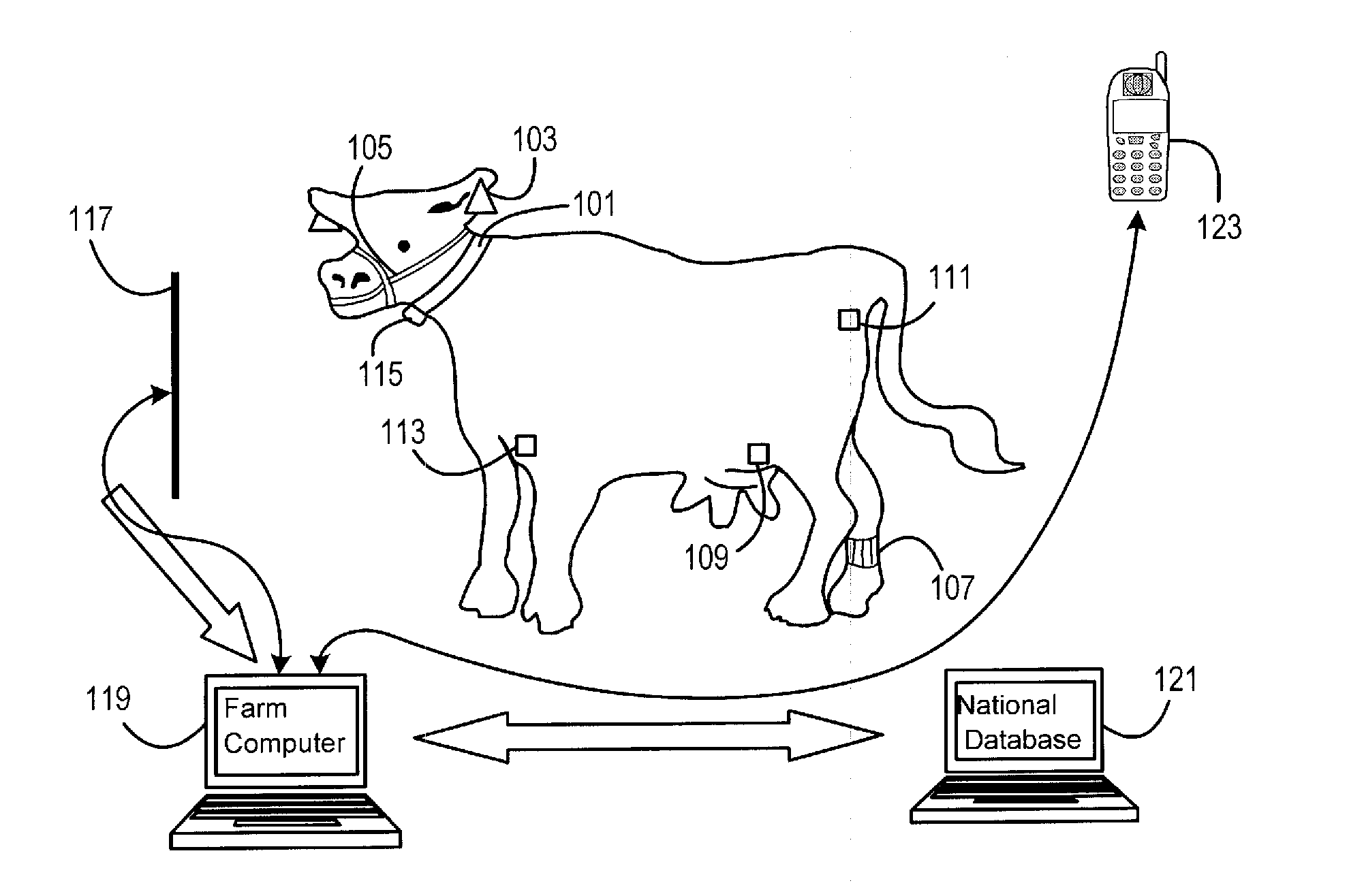 Method and System for Monitoring the Condition of Livestock