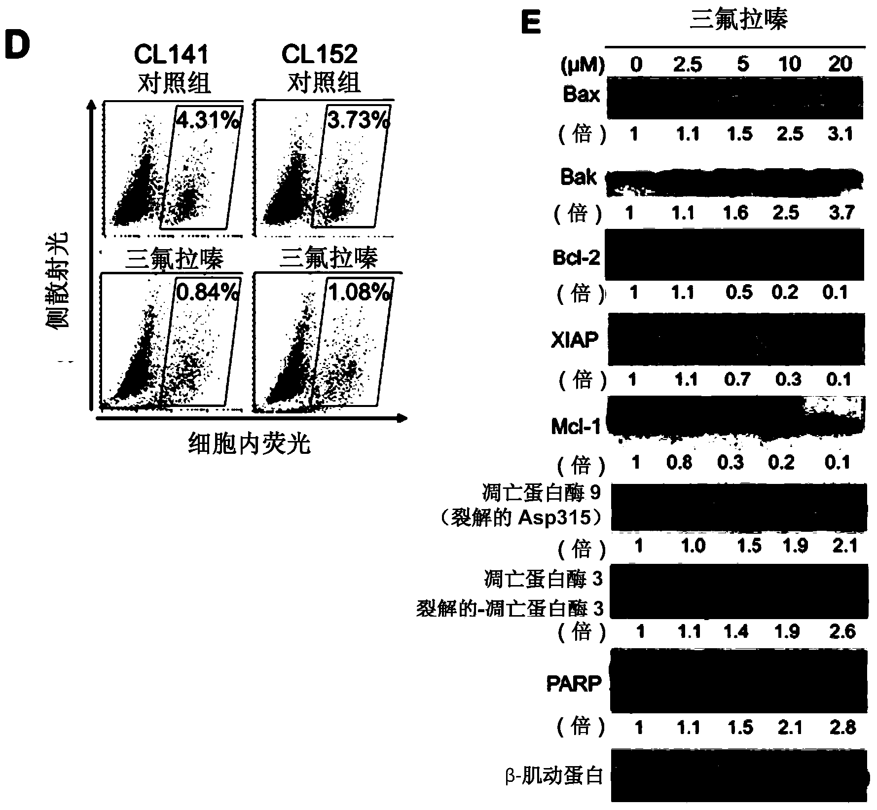 Pharmaceutical composition for elimination of cancer stem cells