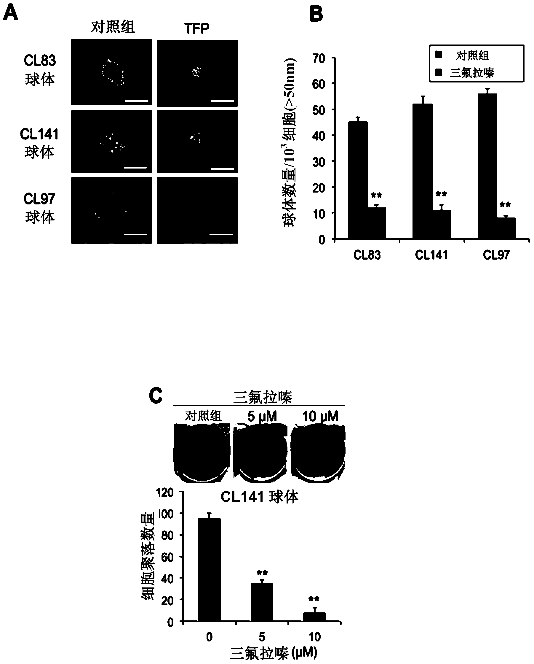 Pharmaceutical composition for elimination of cancer stem cells