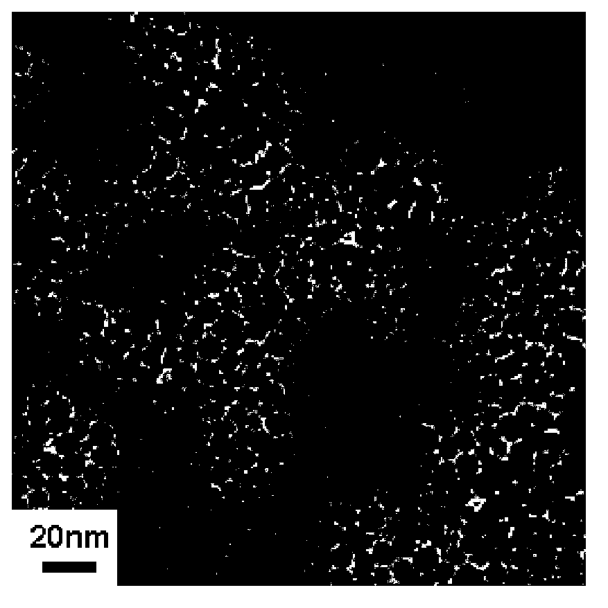 Preparation method for water-soluble magnetic nanometer particles