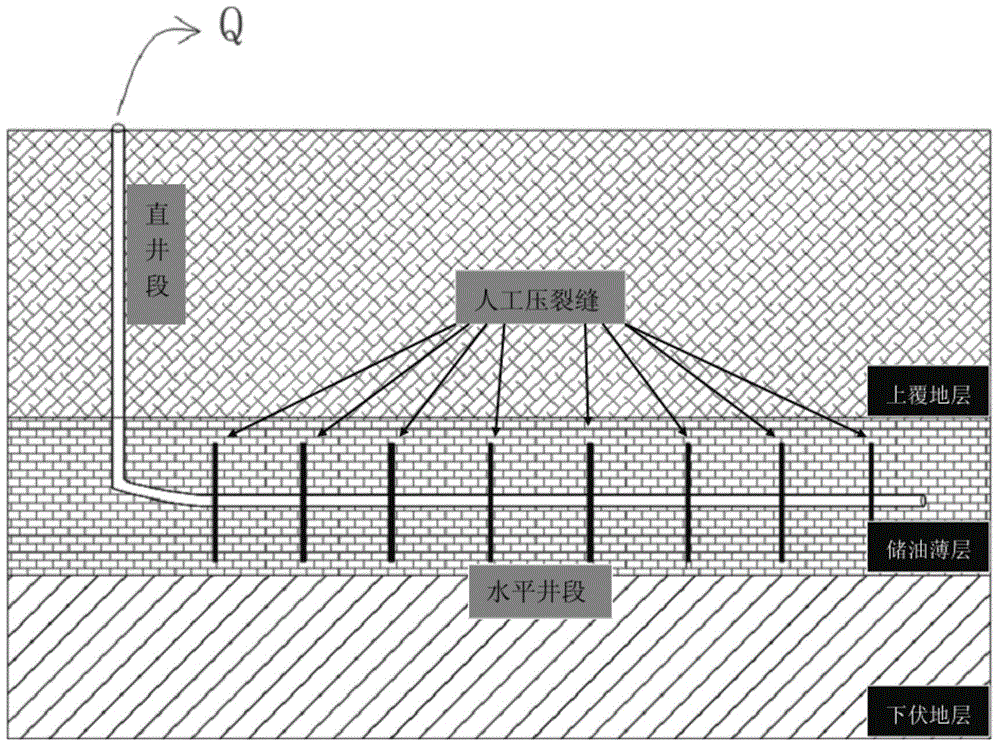 Horizontal well staged fracturing numerical simulation method based on unstructured grid