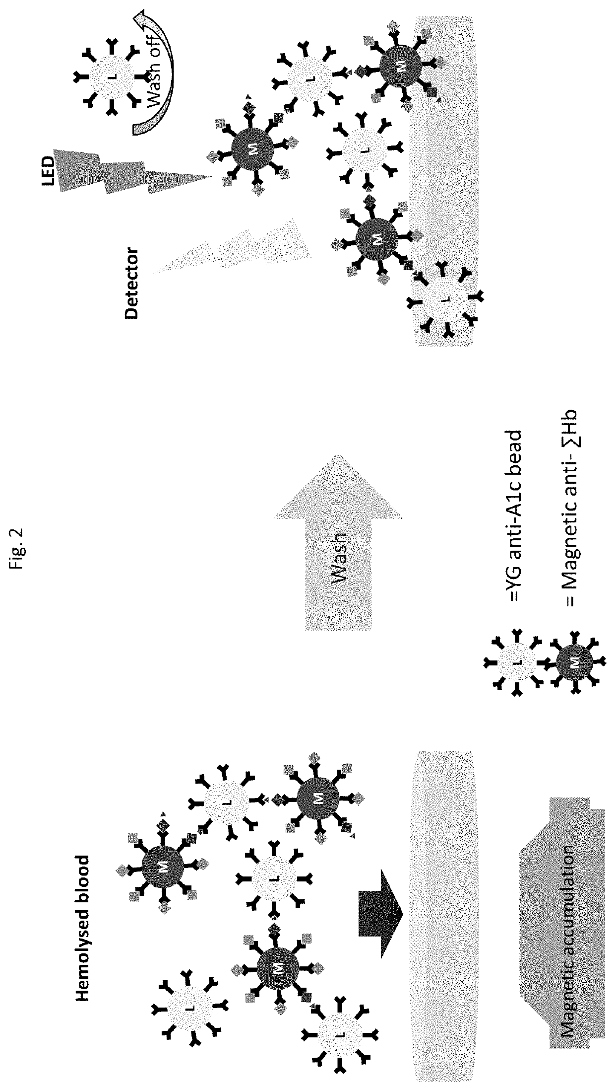 Saturation binding ratiometric assay