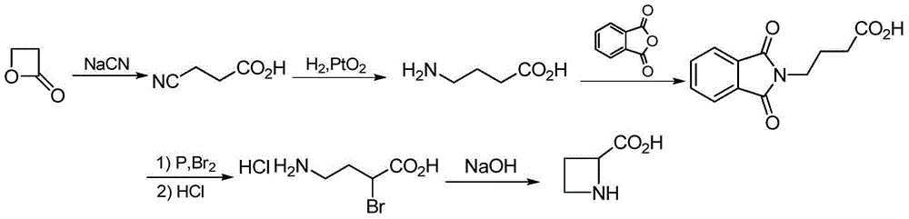 The preparation method of (s)-azetidine-2-carboxylic acid