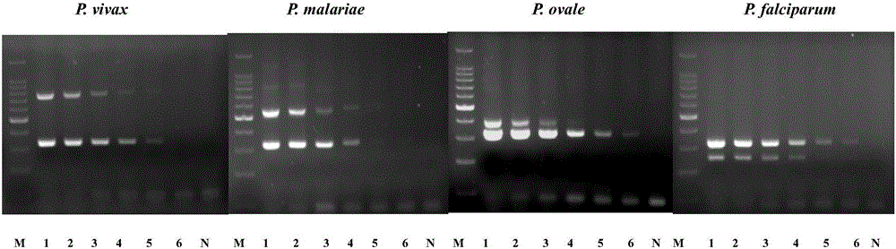 Chimeric primer multiple PCR molecular detection kit for malaria species-genera detection and detection method thereof