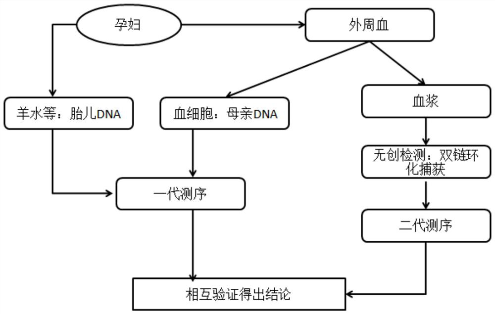 Method for constructing dna library that can be used for non-invasive prenatal detection of single gene disease