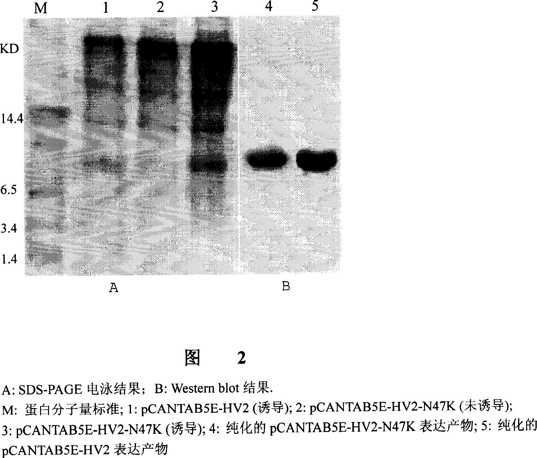 Method for preparing highly-active thrombin inhibitor