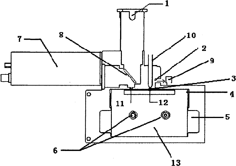 Biological particle detection system based on gelatin detection baseband