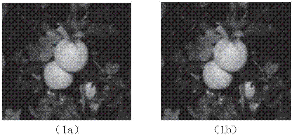 Night viewing image noise reduction method for apple harvesting robot