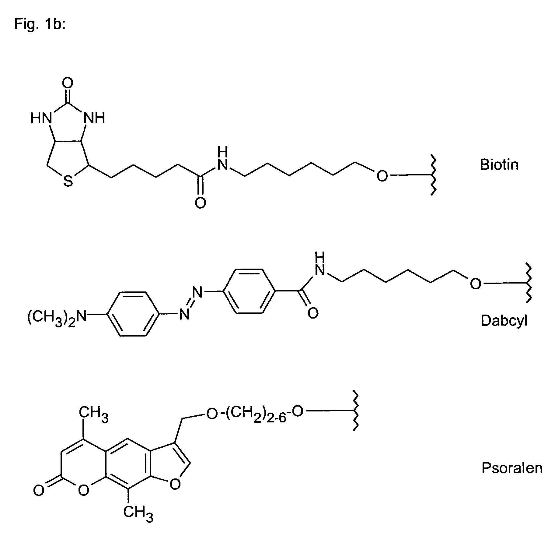 Polyamide nucleic acid derivatives, and agents, and processes for preparing them