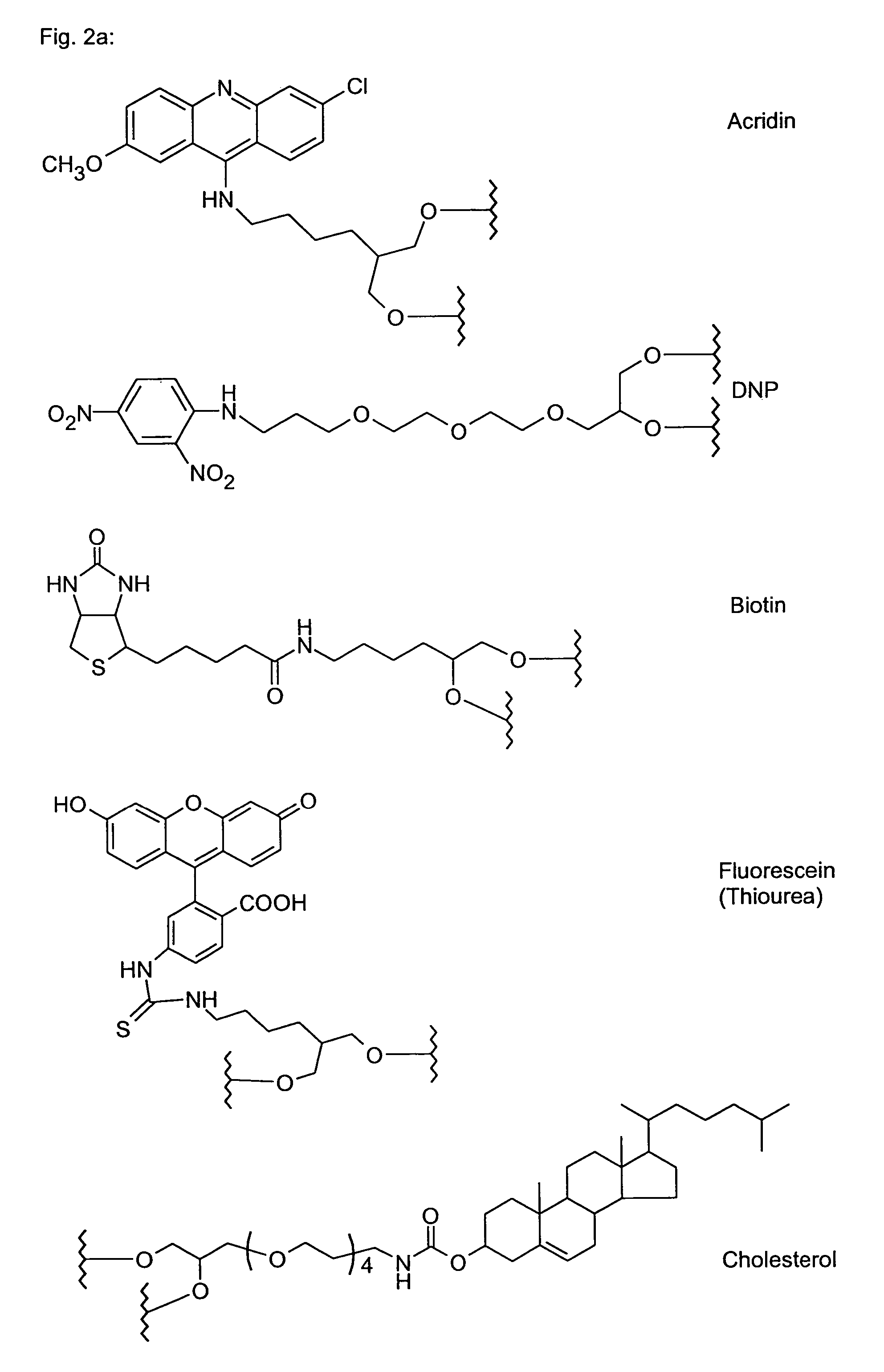 Polyamide nucleic acid derivatives, and agents, and processes for preparing them