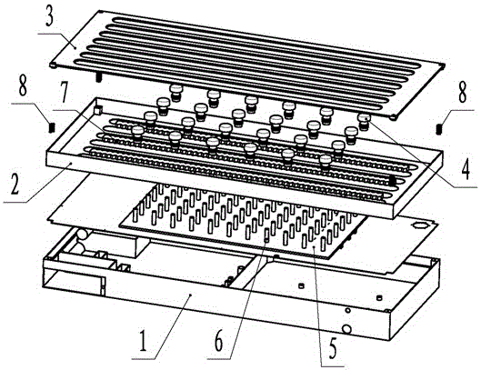 Shoe sole washing device