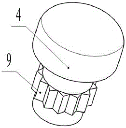 Shoe sole washing device