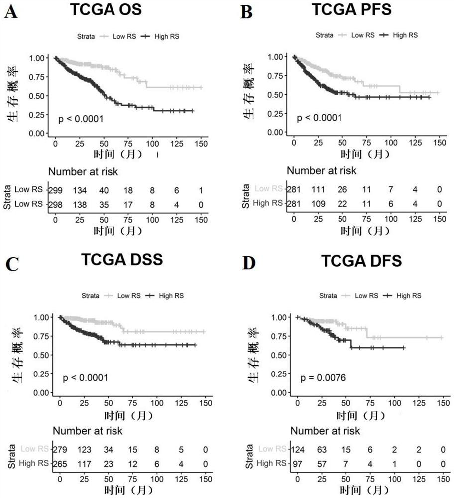 Novel model for prognosis prediction and diagnosis of colorectal cancer and application thereof