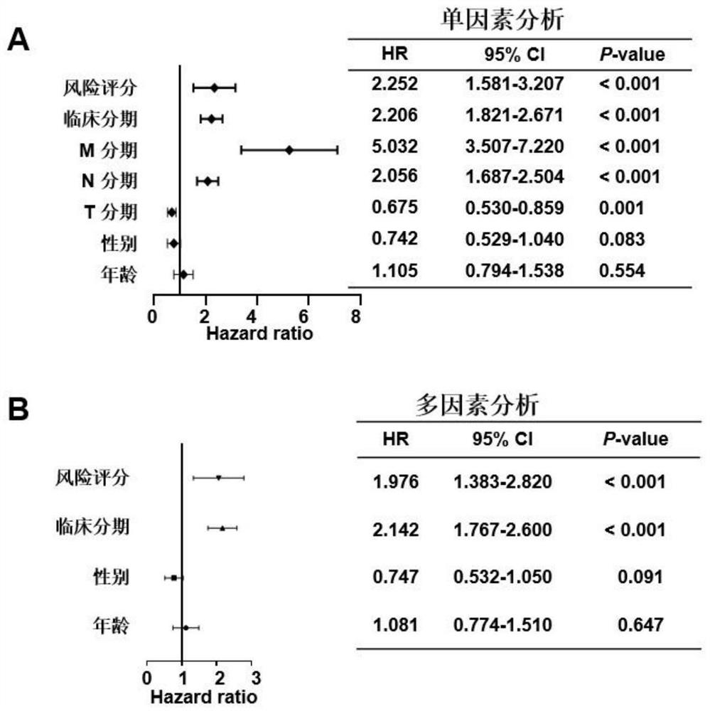 Novel model for prognosis prediction and diagnosis of colorectal cancer and application thereof