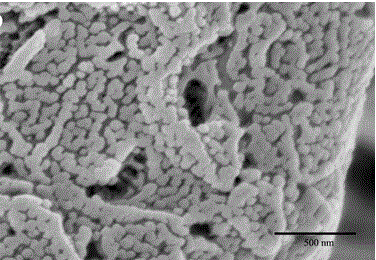 A pulmonary inhaled chitosan-based nano targeting polymer particles and its production method thereof